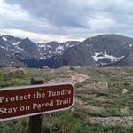 Vincent Riggs - @vincent.riggs.54 - Instagram