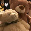 Vincent Brigoli - @vincent.brigoli - TikTok