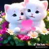 Vincent Crist - @vincentcrist112 - TikTok
