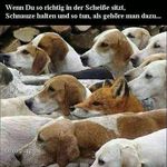 @VinCentRITTer - @x_vincent_222 - Instagram