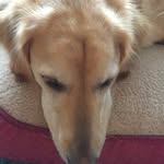 Vincent Andrew Rodak - @vincentrodak112 - Instagram