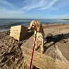 vincent_groe - @vincent_groe - TikTok