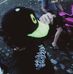 Vince Rojo - Facebook