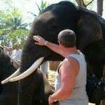 Vincent Rollinson - @vincent_rollinson - Instagram