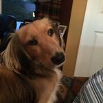 Vincent Roth - @vincentroth44 - Instagram