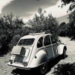 Vincent Roth Dit Bettoni - @vincentrothditbettoni - Instagram