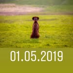 Vincent Scherer - @scherer_vincent - Instagram