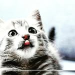 vincent.k.scherer - @vincent.k.scherer - Instagram