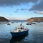 @vincent_scherrer - Instagram