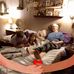 Vincent Schreck - Facebook