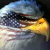 Vince Schultz - @vince.schultz8 - TikTok