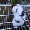 vincentsschuster - @vincentsschuster - TikTok