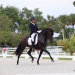 Vincent Serrano/ 🐴 Dressage Trainer - @vs_dressage_llc - Instagram