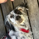 Vincent - @vincent.the.setter - Instagram