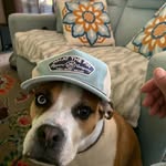 Vincent Soto - @vincent.soto.1232 - Instagram