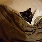 Anne Vincent Spalding - @spaldinganne - Instagram