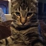 Vincent Spannagel - @vincentspannagel - Instagram