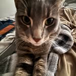 Brady Alexander Vincent Sparks - @bsparky2028 - Instagram