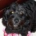Vince Squillacioti - Facebook
