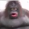 vincentcrackhouse - @vincentcrackhouse - TikTok