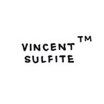 Vincent Laniel - @vincentsulfite - Instagram