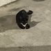 Vincent Su - Facebook
