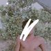 Vincent Suarez - Facebook