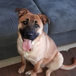 Vincent/Tater - @its.ya.boi.vincent - Instagram