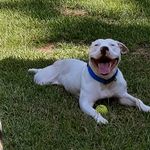 Vincenttemple - @vincenttemple1 - Instagram