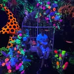 Vincent Teoh - @vincent.teoh.330 - Instagram