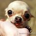 Vincent Teran - Facebook