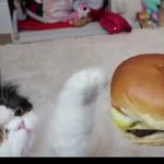 Vincent Terwilliger - @vincentterwilliger1 - Instagram