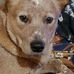 Vince Thacker - Facebook