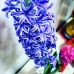 Vincent Tham - @vincent.tham - Instagram