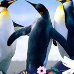 Thomson Vincent - @thomson.vincent - Instagram
