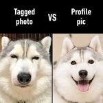Vincent Thomson - @vincent.thomson.9655 - Instagram
