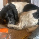 Vincent Thorne - @vincent_thorne_ - Instagram