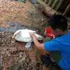 Vincent - @vincent.trang27 - TikTok
