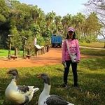 Vincent Tsao - @vincent.tsao.56 - Instagram