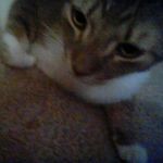 vincent - @vincent_turley - Instagram