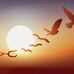 Vincent Ulrich - Facebook