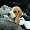 Vincent Valentin - @vincent.valentin0 - TikTok