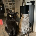 Vincent & Vera - @vincentvera2023 - Instagram