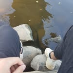 @vincent.volk123 - Instagram
