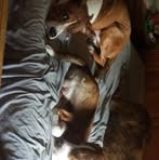 Vincent Volk - Facebook