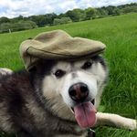 Adam Whitehead - @vincent_whitehead - Instagram