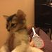 Vincent Whitlock - Facebook