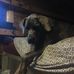 Vincent Willis - Facebook