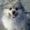 Vincent Willisgk - @vincent.willisgk - TikTok