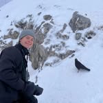 Vincent Winter - @vincent_winter_wildlife - Instagram